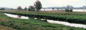 Zorgt voor veilige dijken, schoon water en droge voeten in het zuidelijke deel van de provincie Utrecht